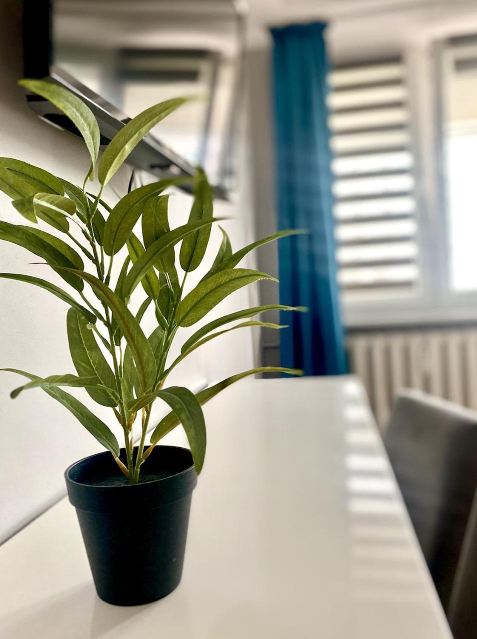 Doba Rent Pokoje Centrum Palacowa Białystok Dış mekan fotoğraf